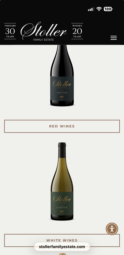 Best Mobile-Friendly Website Design in Oregon - Hanneson Creative